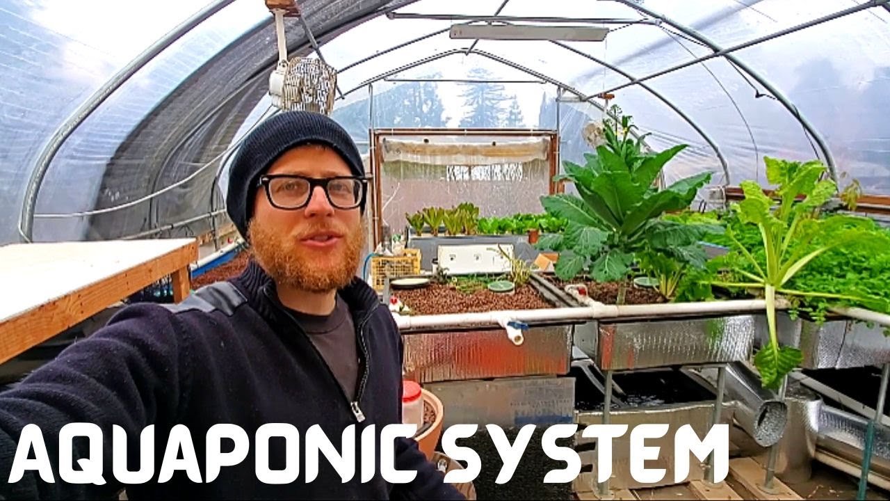 Ultimate Guide to Backyard Aquaponics in Ithaca: Start Your Garden Today